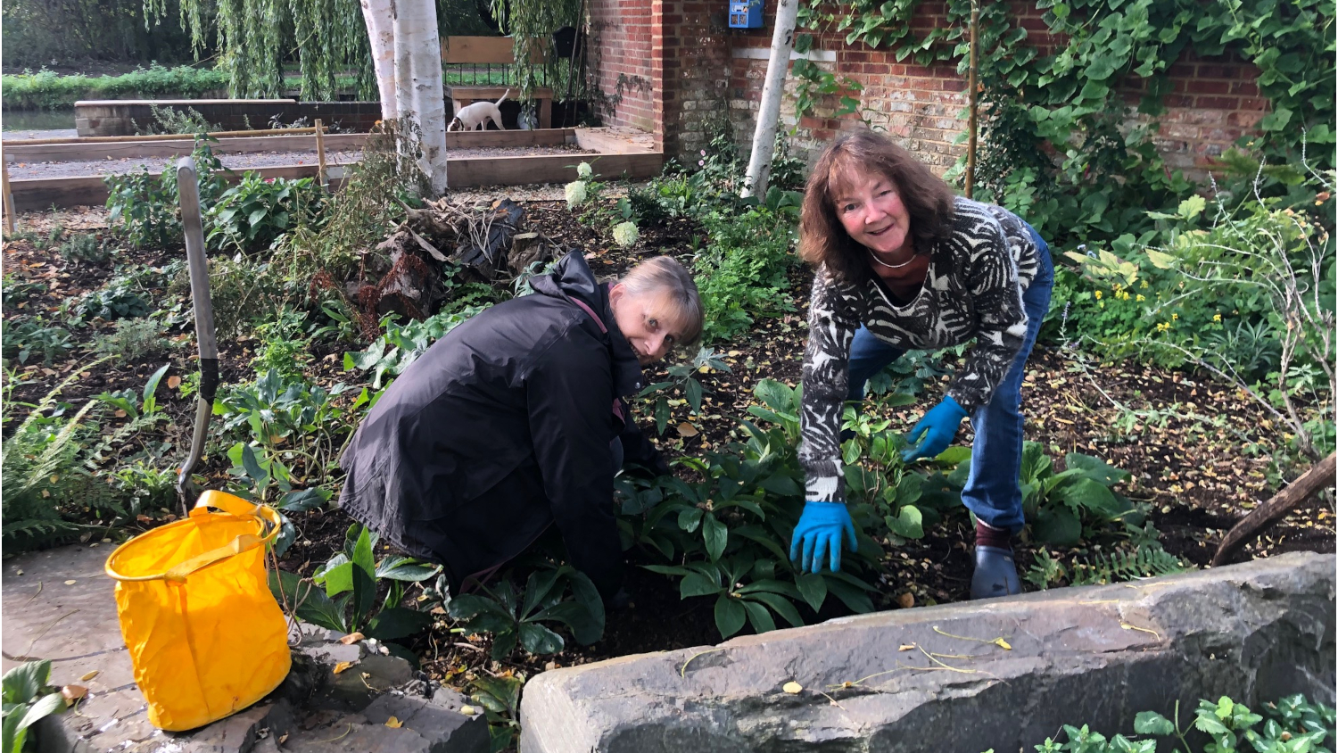 <p>Greening Jericho volunteers Helen and Sue planting new plants in Mount Place.</p>