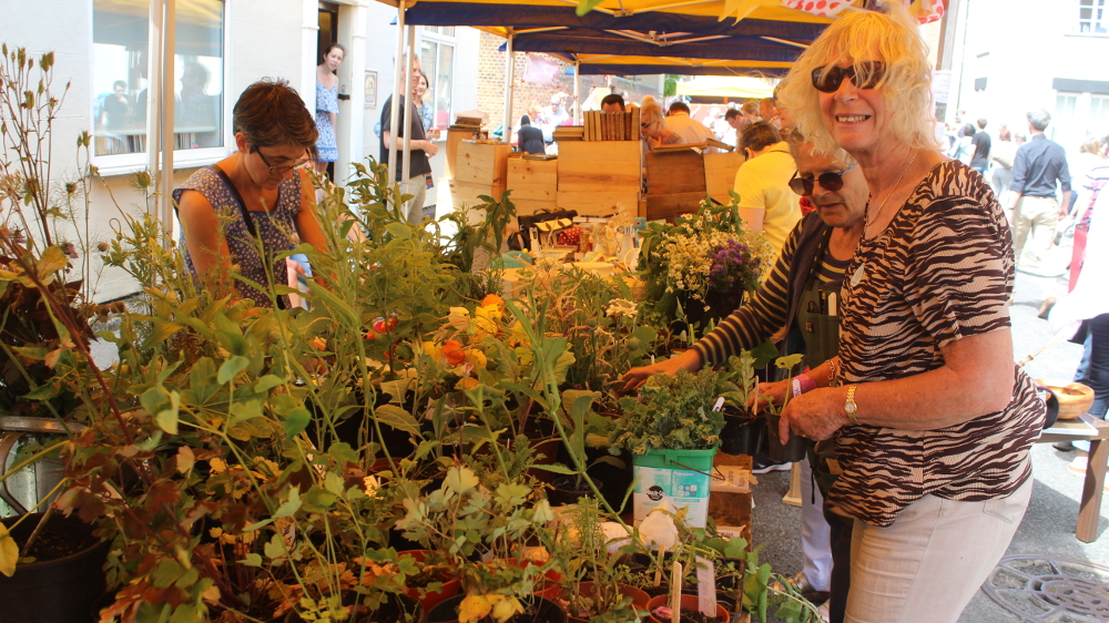Councillor Susann Pressel is dazzled by the  plants from Cripley Meadow Allotments