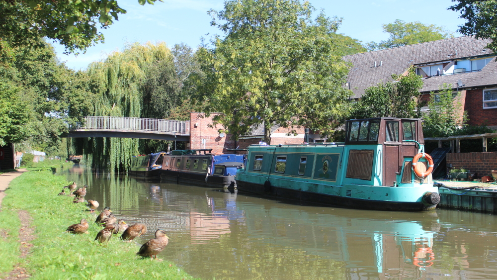 Jericho gets its ducks in a row