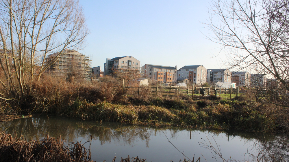 Castle Mill flatline