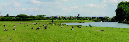 Option 1 - New cladding and some tree planting