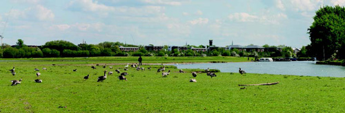 Option 2 - New cladding, tree planting and modification of the roof forms