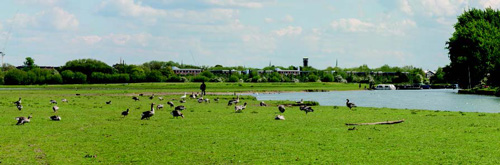 Option 3 - Removing the top storeys plus new cladding and tree planting